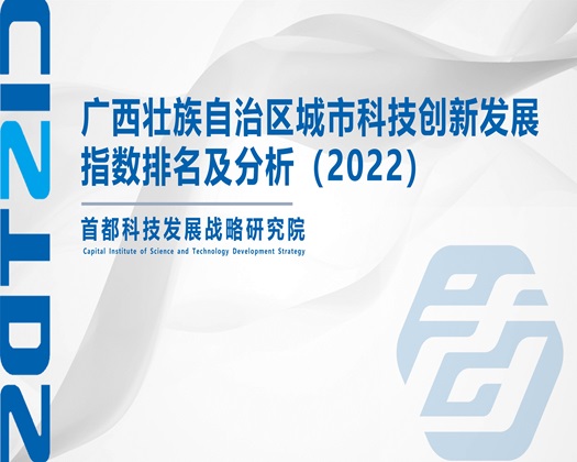 肉棒日白虎逼观看【成果发布】广西壮族自治区城市科技创新发展指数排名及分析（2022）